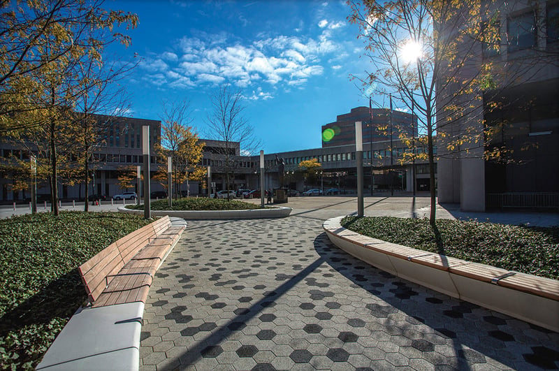 White Plains Library 